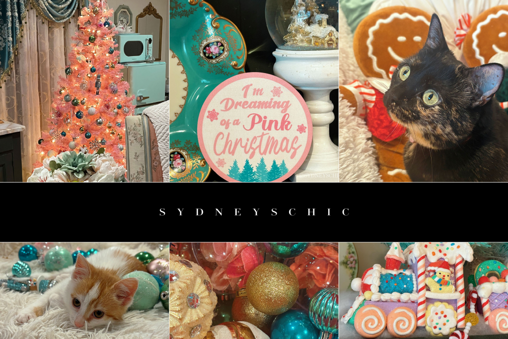 ▎❝ Life in the dreamhouse: Christmas Tour 2024&nbsp;❞