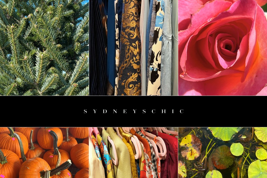 ▎❝ Know thy shades: celebrating your natural glow with color seasons.&nbsp;❞